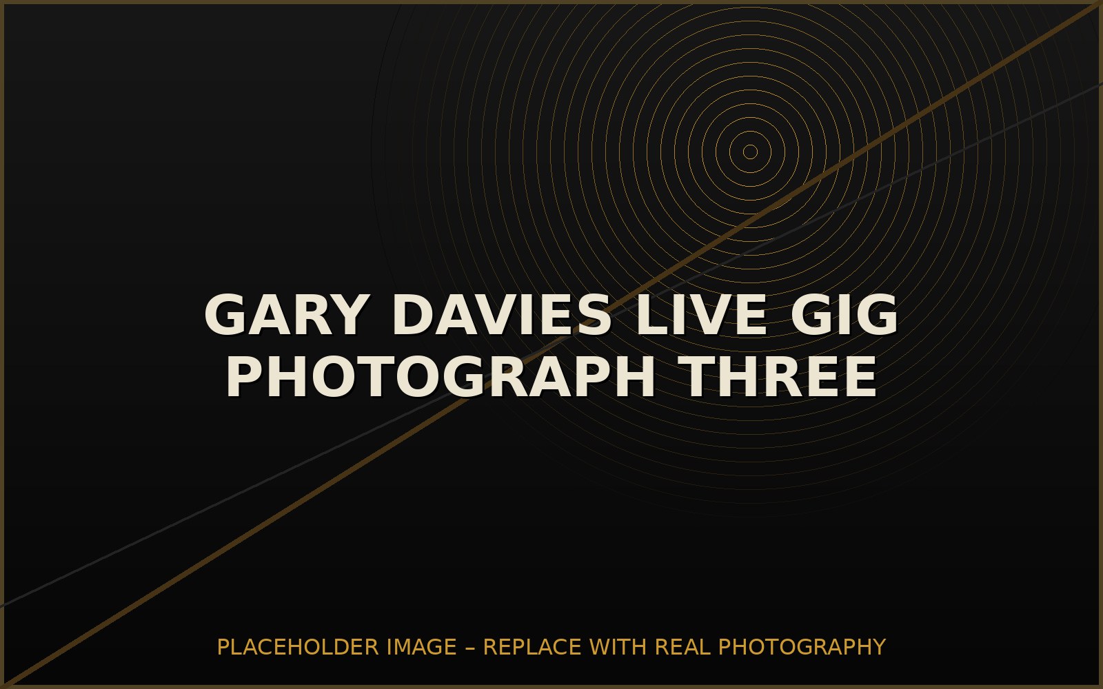 Audience view of a Gary Davies acoustic performance